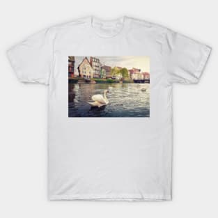 magnificent swans T-Shirt